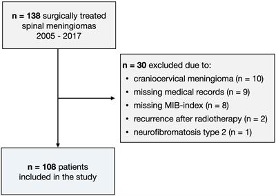 Unsuccessful external validation of the MAC-score for predicting increased MIB-1 index in patients with spinal meningiomas